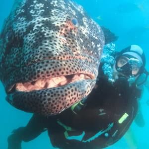 Meet your Posher, Matt